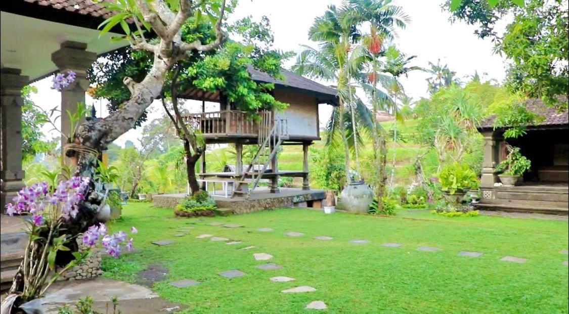 Mesari Cottage Guest House Pabean Buleleng Exterior foto